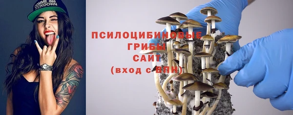индика Сафоново