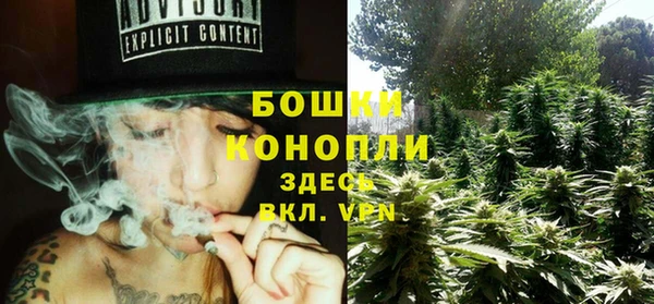 индика Сафоново
