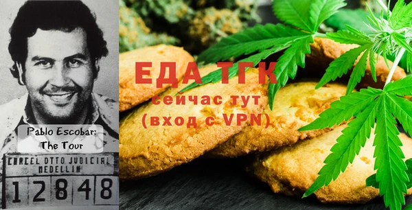 индика Сафоново