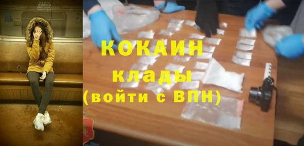 индика Сафоново