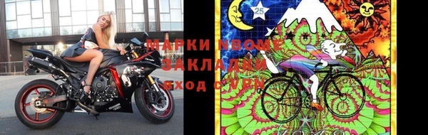 индика Сафоново