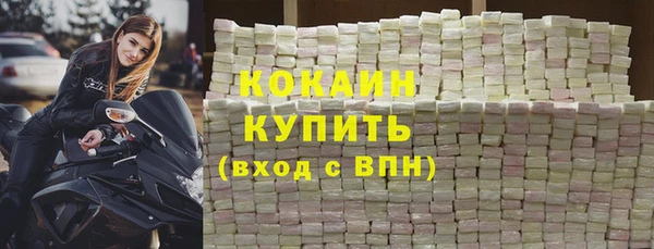 индика Сафоново